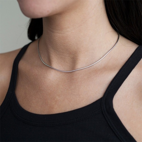 emanco titanium steel round snake chain long stainless steel necklace female simple couple snake bone chain European and American cross-border clavicle chain