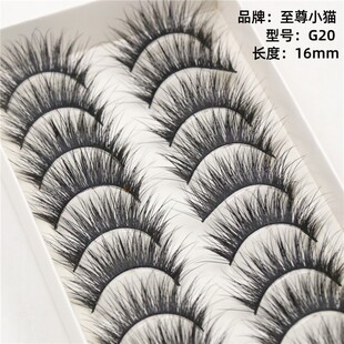 �ٽ�ëʮ���b ���ܼ��L��̨�ٽ�ë�S�����l�Ԍ��N�ۿ�G20