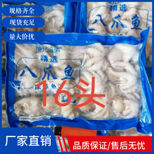 渔兄渔弟八爪鱼新鲜冷冻迷你小章鱼高端餐饮商超等海鲜食材批发