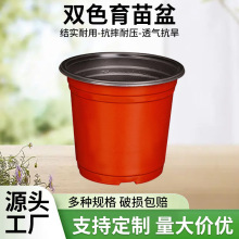 加仑盆多肉花盆双色育苗盆加厚pp软塑料控根盆一次性园艺小营养钵