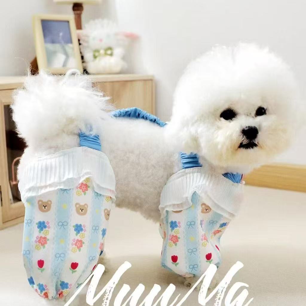 푸른 꽃 곰