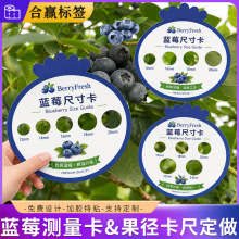 �{ݮ��׼�y���������r���ּ�����܇���Ӝy�����ӹ������߶����˺�