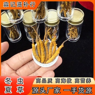 �����������x�Ĳݸ�؛�ߺ������aƷ�x�ݴ���Ҝ��ͶY��ƽ���l���l