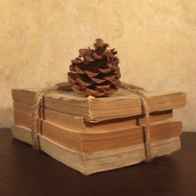 bƷfbӢĶ֑fzӰߔ[һr