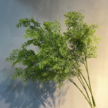 仿真侧柏 植物手感软胶扁松 枝插花花艺盆景艺术插花软装居家布置