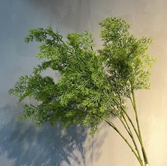 植物の手触りをシミュレーションします。