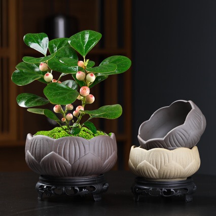 Coarse Pottery Ceramic Hydroponic Small Flower Pot Without Holes, Green Plant Container for Pennywort and Pothos, Fresh Desktop Flower Vessel Clearance Sale