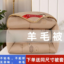 羊毛被羊毛被加厚保暖被子冬被单双人被子学生宿舍被跨境一件包邮