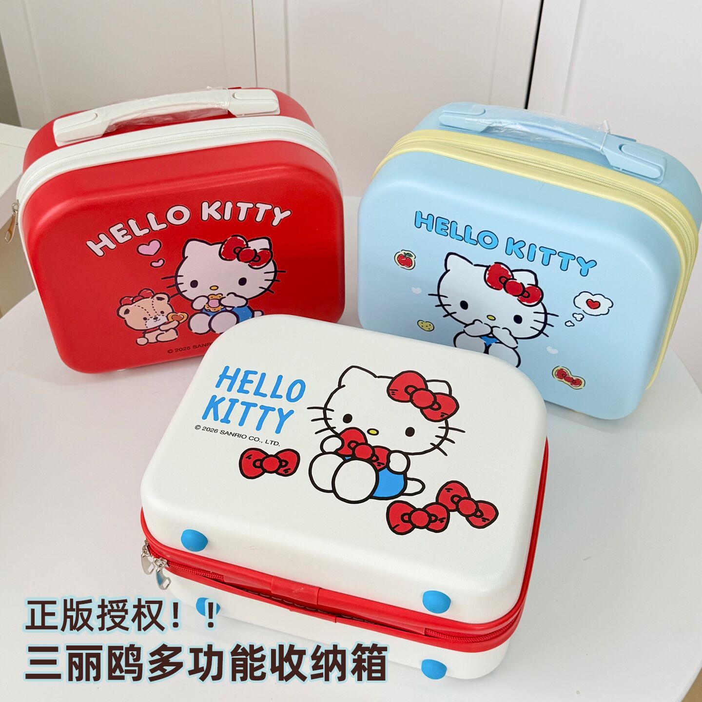 Portable Large Capacity Storage Box