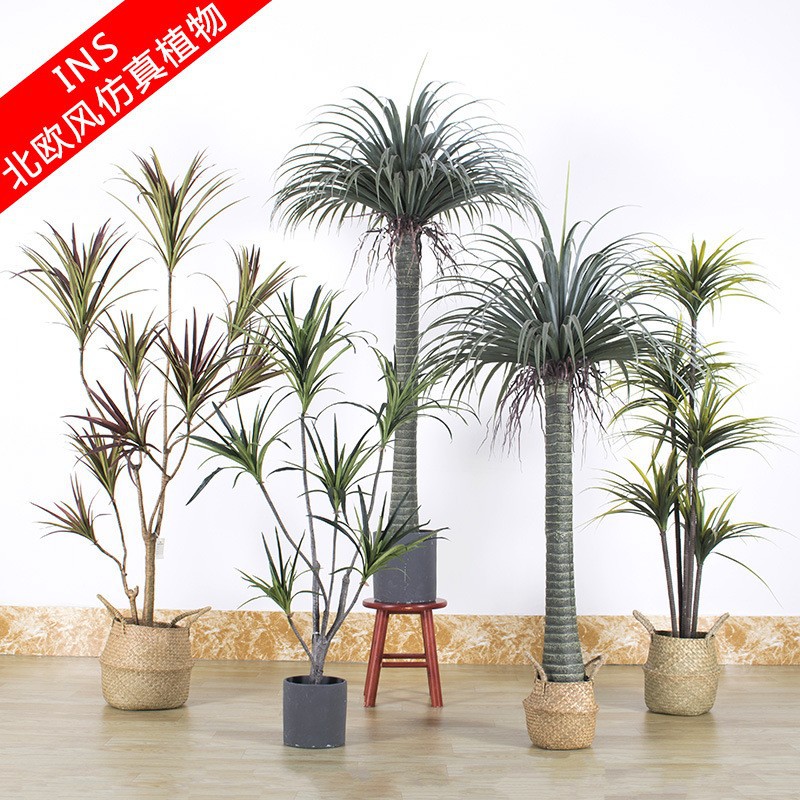 Simulación Árbol de sangre de dragón Simulación de madera de mil años Plantas verdes Plantas en macetas Decoración de interiores Simulación Árbol de hierro de sangre de dragón Simulación Árbol artificial Plantas verdes falsas