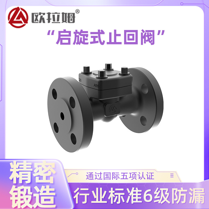 法兰旋启式止回阀 A105材质 Cr13不锈钢密封面 工艺严格 欧拉姆