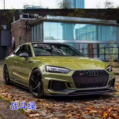 Original Car Paint Color Series | Auto Color Change Film - pet-battle-green-audi-double-layer-152m-x-17m