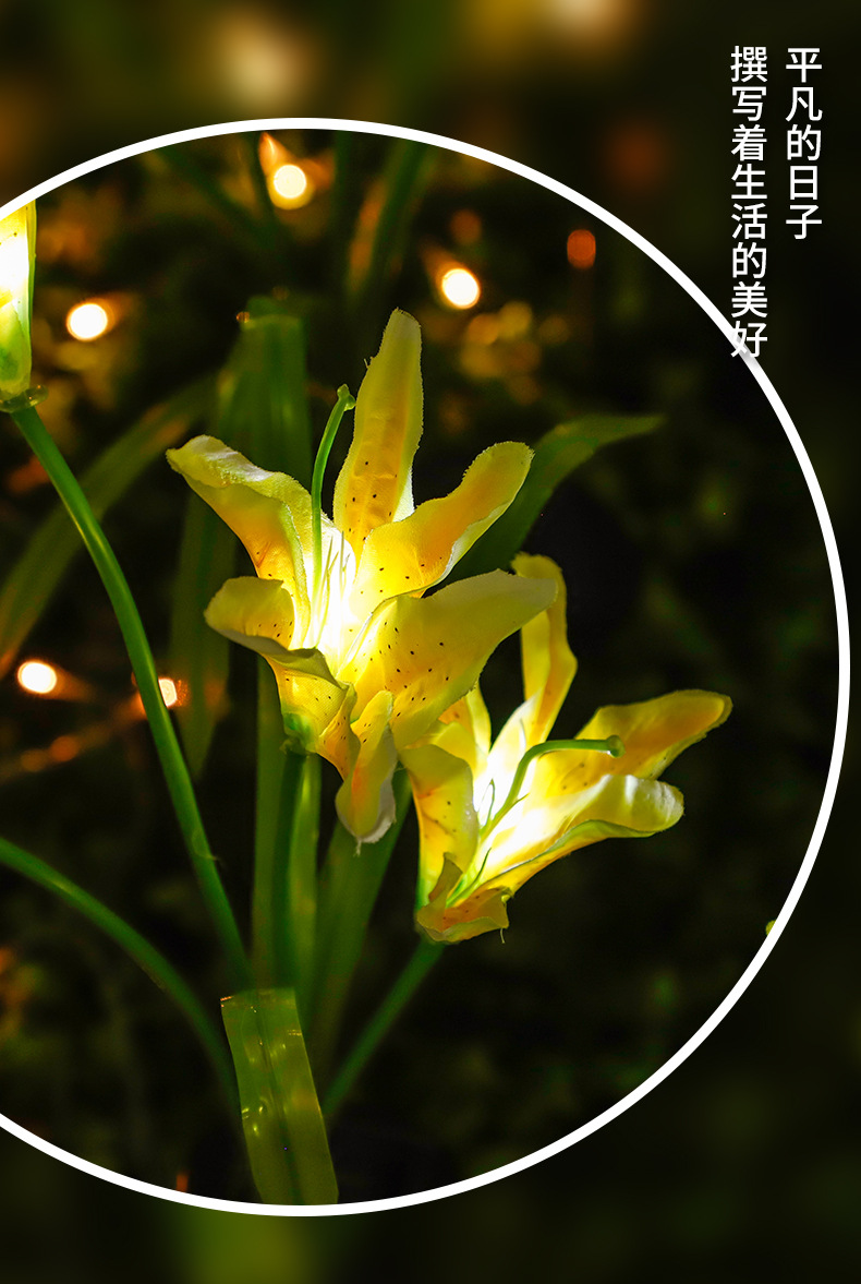 2_02.jpg?x-oss-process=image/format,png