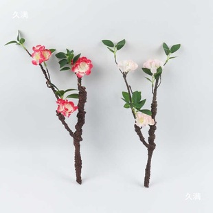 ��������b[�����Ϻ��r�b��Ƶ������c�Y��Ʒϲ��[�P����