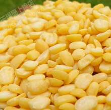 ������؛ÓƤ�G���_߅ȥƤ�G���� �G���W������s�Zԭ��һ�����l