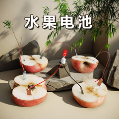 フルーツ電池科学実験フルーツ発電実験リンゴジャガイモ発電物理少量生産実験装置