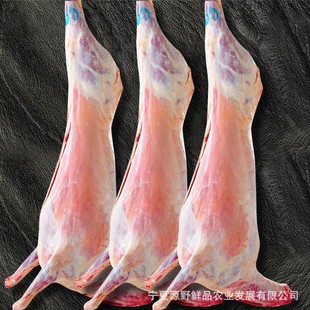 ���Ğ������r�����ֻ16������������ϐ�ӟ���������t��