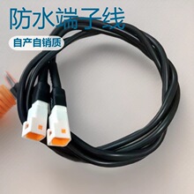 硅胶线PVC2-12孔红黑端子线 VH3.96 JWPE-2RSZ防水端子线自产自销