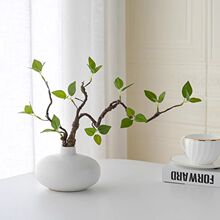 ����Gֲ�ٻ����Rֲ��͏d�廨�����b����Ϸ��滨�[���Ƶ�[�O