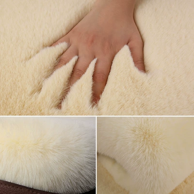 rear row short plush thickened — Wool pad