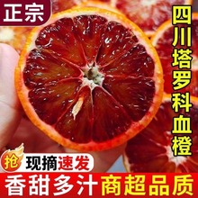 四川宜宾玫瑰血橙新鲜应季孕妇水果资中塔罗科红心橙子甜9斤整箱