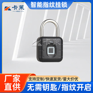 Smart Fingerprint padlock smart electronic padlock head outdoor anti-rust padlock door anti-theft password lock cabinet