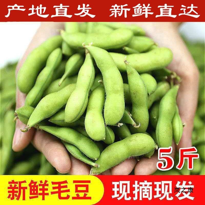 [Direct from origin] Fresh green soybeans in pods seasonal vegetables raw beans pods fresh soybeans