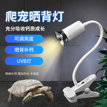 x񱳟a}Ӝuvb羳Rdӟ񱳟