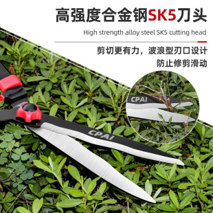 German gardening scissors fruit tree pruning scissors garden pruning scissors lawn hedge scissors branch pruning scissors Italian match