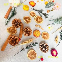 �����������b��ֹ��ɻ������ˇ�ɻ��ɹ��廨�����ᔿɒ�