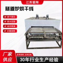 隧道炉链板式工业热风循环烘干线分子筛转向轮水分烤炉烤箱网带炉
