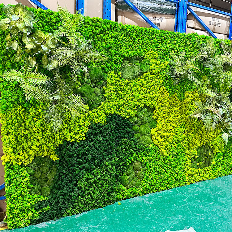 Musgo eterno ciervo musgo planta pared paisaje musgo ventana interior decoración micro paisaje eterna flor musgo