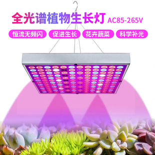 Red and blue LED plant growth light full spectrum indoor fill light greenhouse growth light manufacturers greenhouse balcony seedling