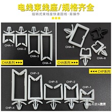 Nʽ늾̶x·늾ķACHA