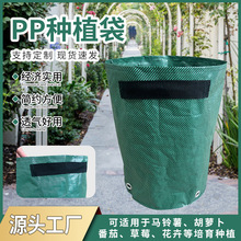 �Nֲ���������������ݮֲ����{ݮ�������Nֲ������羳���N