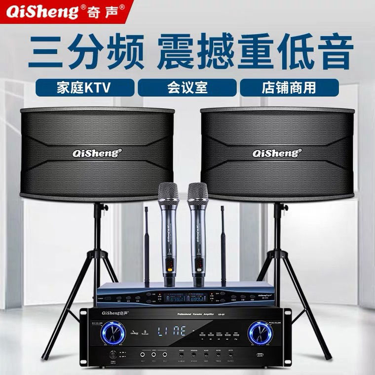 Qisheng Family ktv Audio Set Conference Room Dance High Power Amplifier Karaoke Singer Home Karaoke