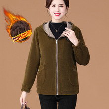 �ߙn�����b��ⶬ�b��о�q��������2025�ﶬ�¿������ꋌ�����\
