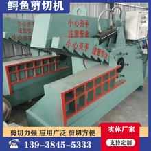 ���͏U���ټ��ЙC ȫ�ԄӲ�����N�l�{�~�� ���l�T�Д��C