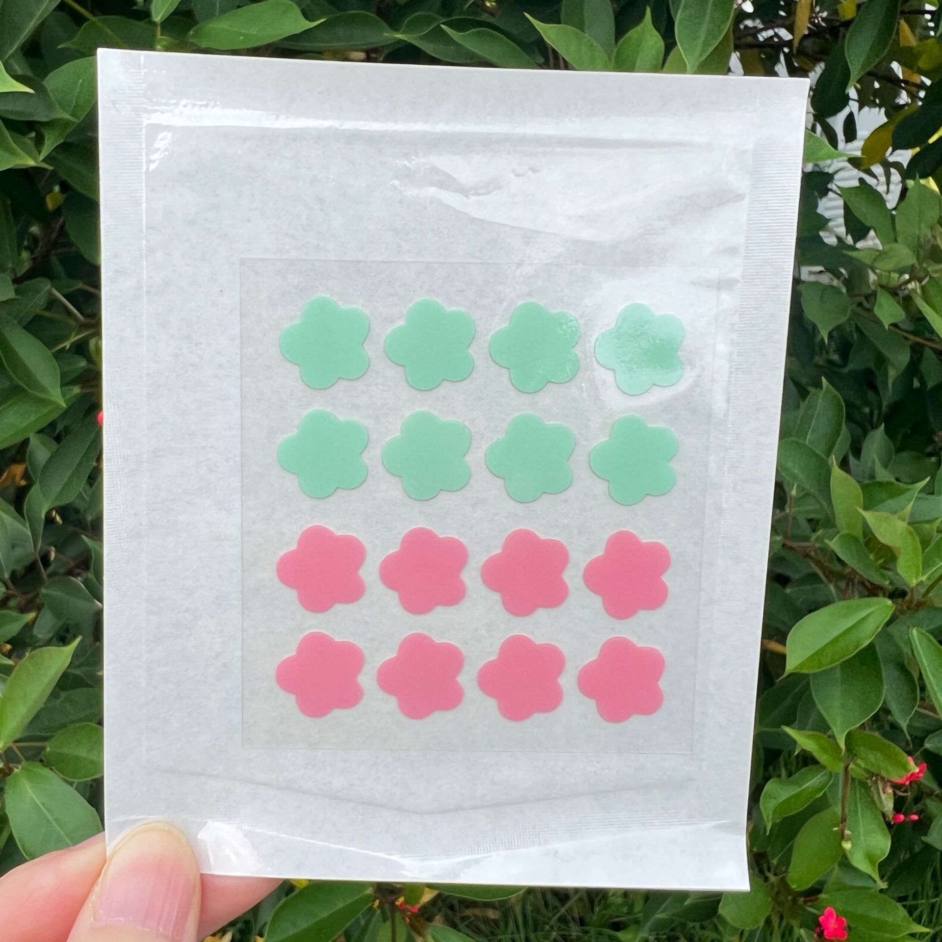 분홍색 + 녹색 꽃잎 16개/개 종이 비닐 봉투