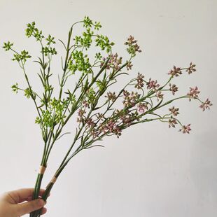 ��������ȼ������L֦���m���廨����b��ձ�Ұ���Ӱ巿ܛ�b����