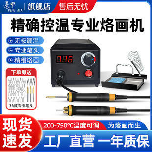 Peng Jia Professional Adjustable Temperature Pyrography Machine Pyrography Tool Gourd Wood Board Hot Stamping Machine Pyrography Brush Quick Heating Electric Heating Pen