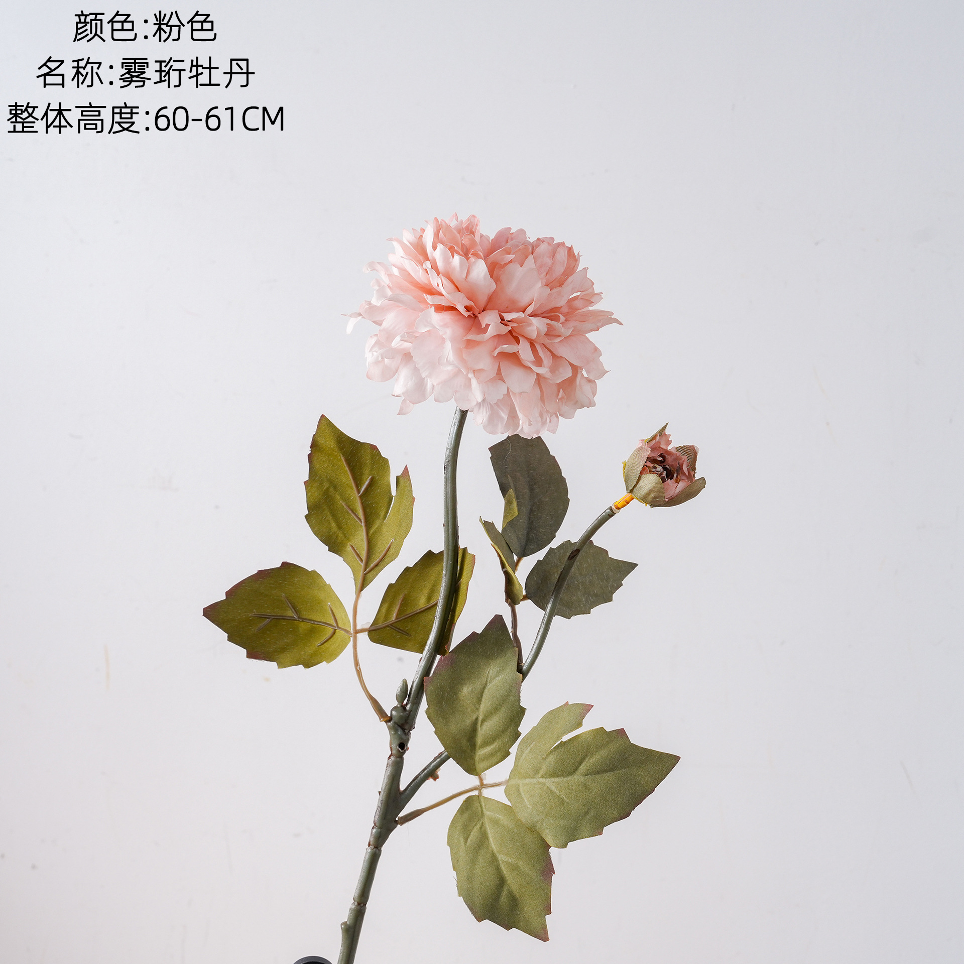 Wuheng Peony falsificó flores y plantas verdes artesanías de decoración de bodas al por mayor INS fabricantes de flores de simulación transfronterizas con flores en la mano