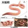 ZZ earthworm (single model)