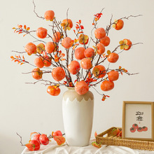 ӹ֦廨[ߙnw͏dbɻ[O