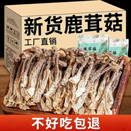 香菇;蘑菇