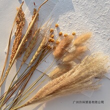 �옷��������β�ݸɻ������zӰ�[���Ĕz���յ��߱����b[���Ʒ