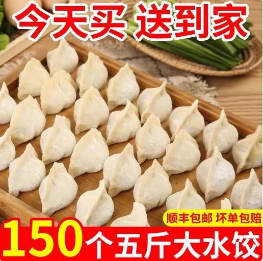 [Free Shipping] Auntie’S Hand-Made Dumplings, Beef and Mutton Pasta, Steamed Dumplings, Leek Quick-Frozen Instant Breakfast Dumplings Batch