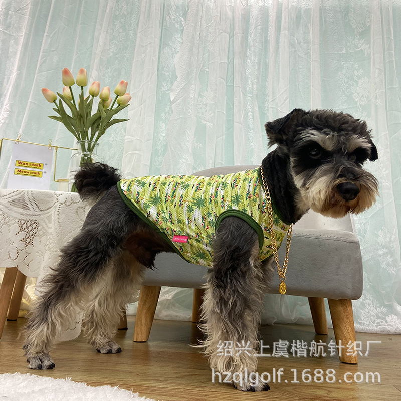 ﹷʱӡT· շӡ͸TСȮװ