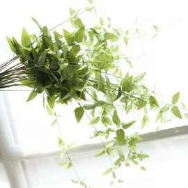 美式厂家直销铁线吊兰蕨叶落地仿真花外贸绿植物墙金钱叶假花