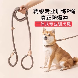 Dog Leash Explosion-Proof Anti-Escape Leash for Walking Dogs, Suitable for Medium and Large Dogs